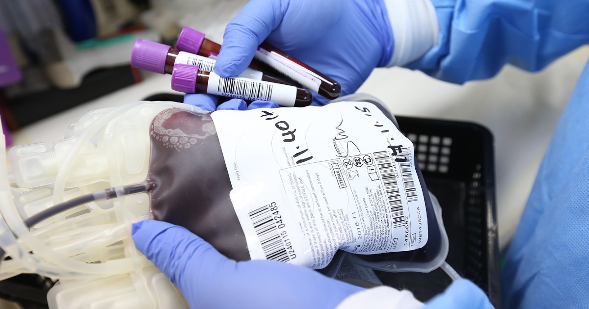 Instituto do sangue reforça apelo à dádiva de sangue