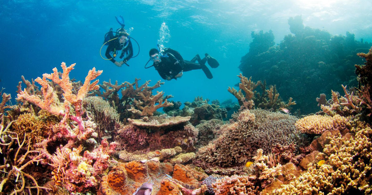 Austrália vai pressionar contra inclusão da Grande Barreira de Coral em lista do Património Mundial em perigo